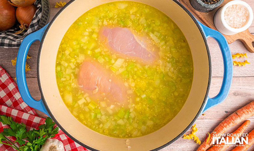 chicken stock and chicken breasts added to pot