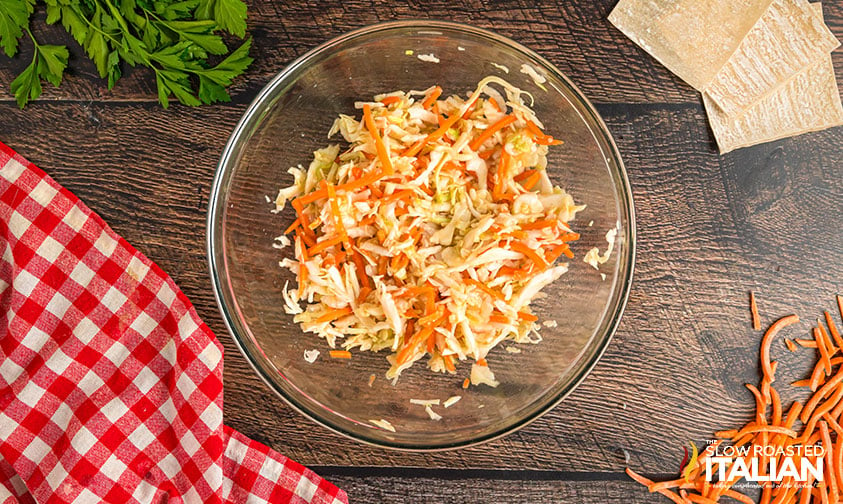 mixing fresh coleslaw in a mixing bowl