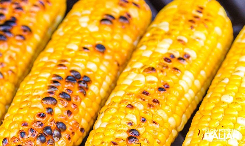 closeup of grilled corn on the cob