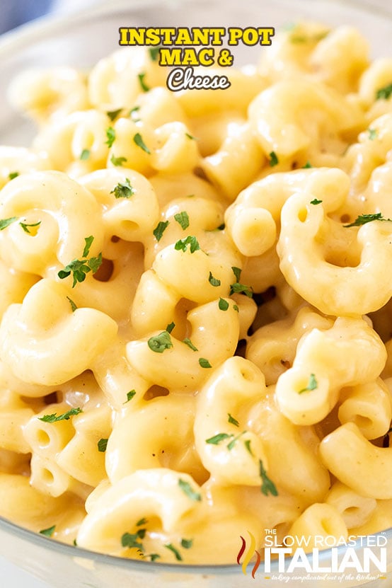 Instant Pot Macaroni and Cheese + Video