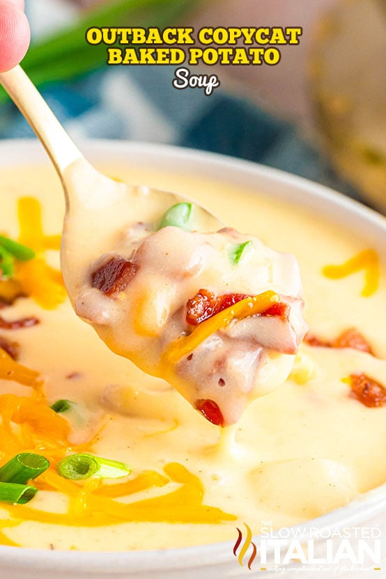 Titled Image: Outback Copycat Baked Potato Soup