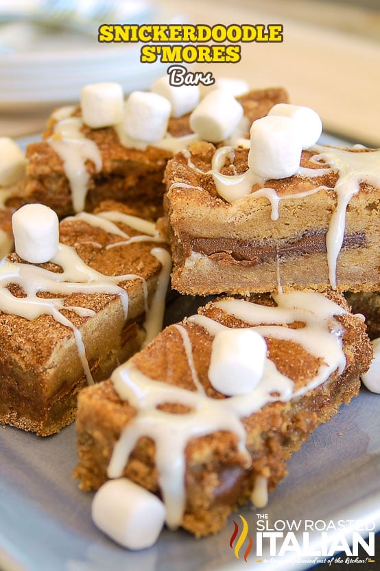 titled: Snickerdoodle S'mores Bars
