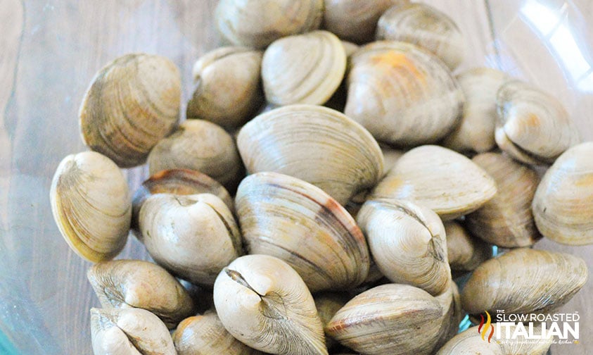 fresh clams in a mixing bowl