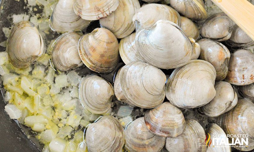 steaming clams in white wine sauce