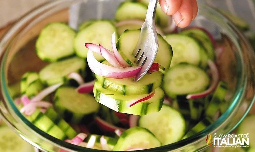 forkful of cucumber onion vinegar salad