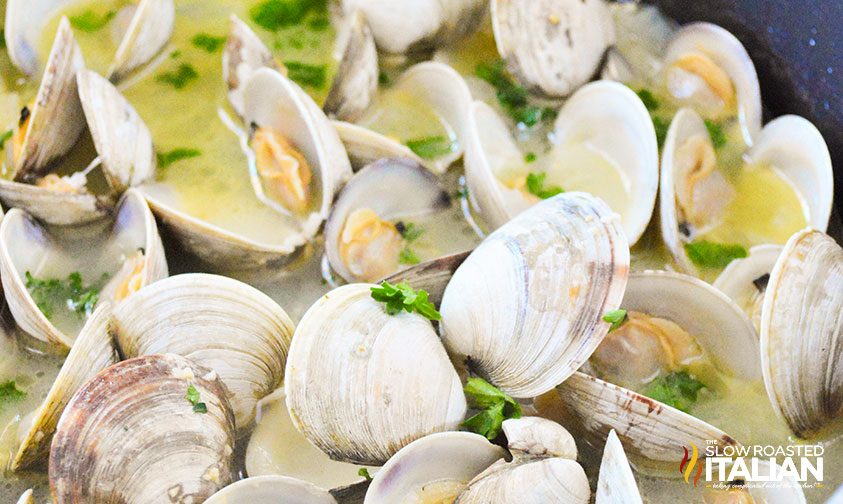 steamed clams in white wine butter sauce