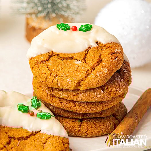 Ginger Snap Cookies Recipe (Air Fryer Recipe!)-image