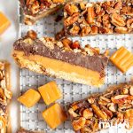 closeup of turtle bars