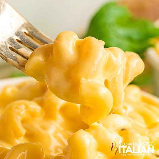 4 Cheese Mac and Cheese (Subway Copycat!)-image