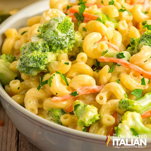 Copycat Panera Broccoli Cheddar Mac and Cheese-image