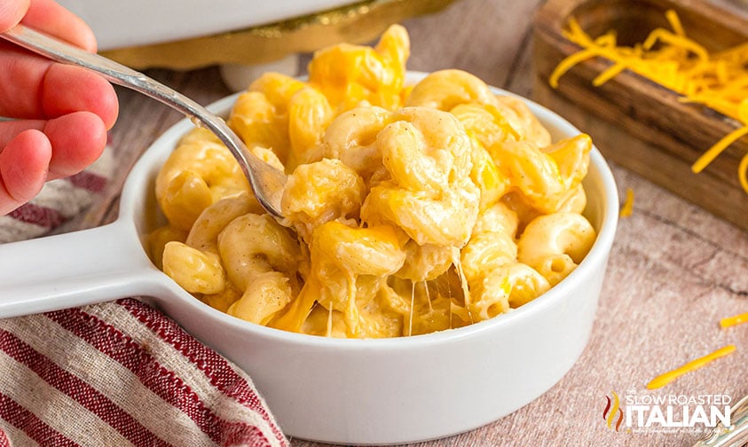 bowl of creamy costco mac and cheese recipe