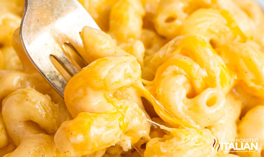 closeup of a fork dipping into costco mac and cheese