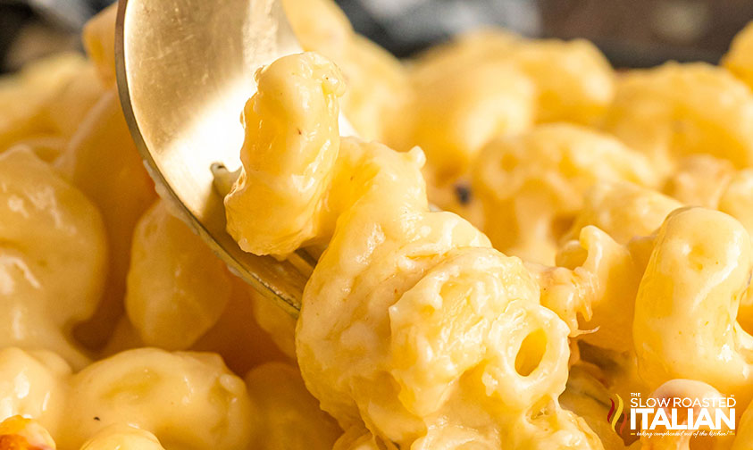 closeup of tgi fridays mac and cheese