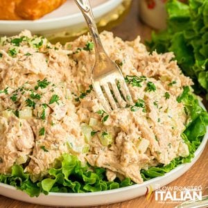 closeup of costco chicken salad