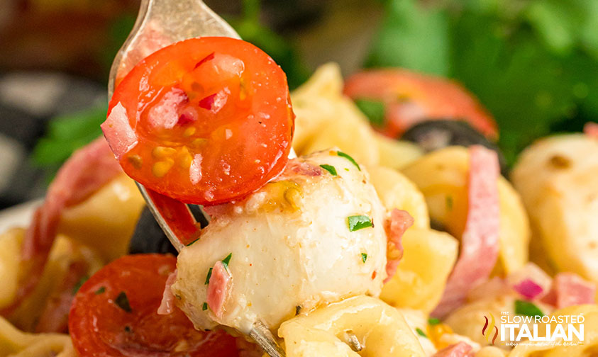 closeup of costco tortellini pasta salad