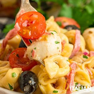 closeup of copycat costco tortellini pasta salad
