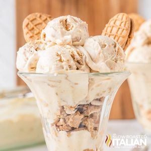 closeup of peanut butter ice cream in a dish with nutter butter cookies