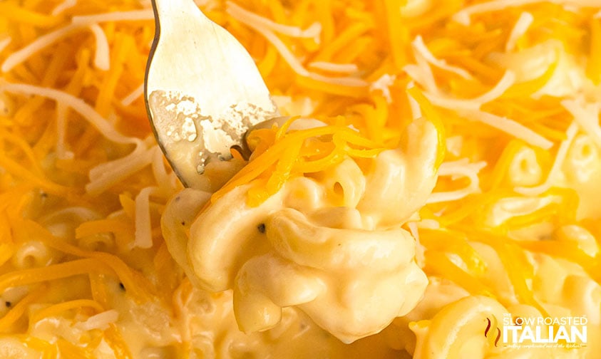 closeup of noodles & company wisconsin mac & cheese copycat