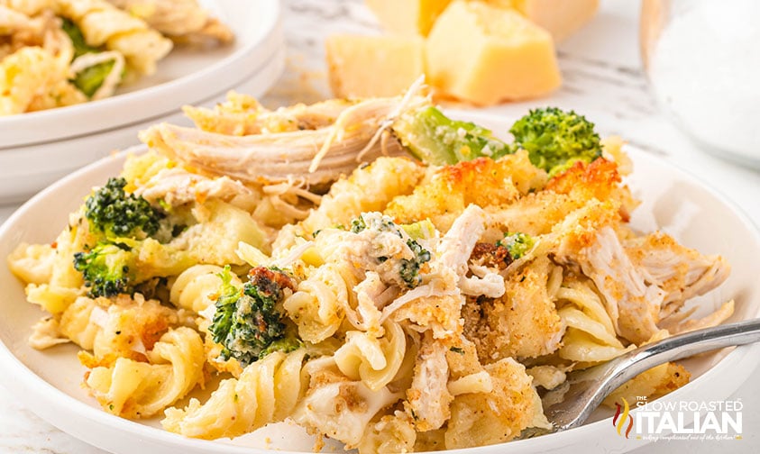 chicken alfredo casserole on a plate