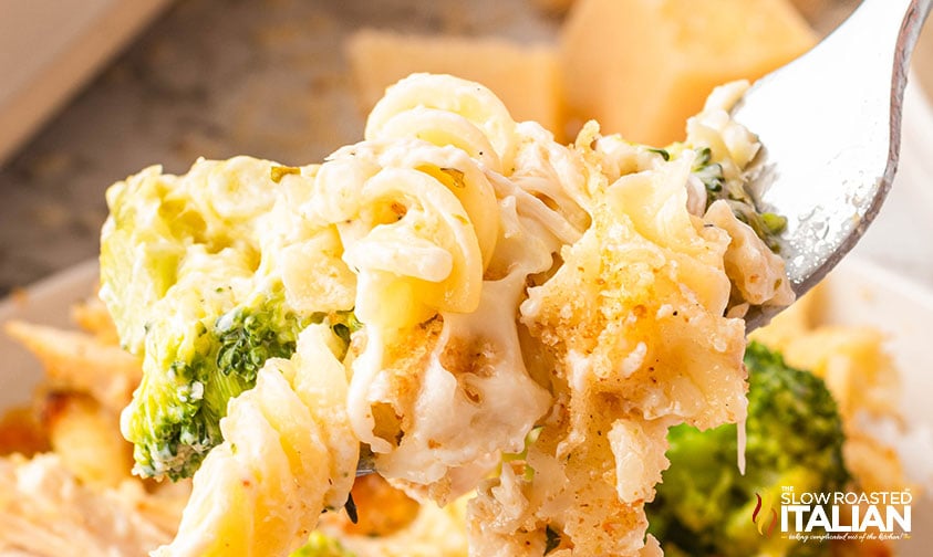 closeup of chicken alfredo casserole with broccoli on a fork