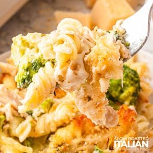 closeup of chicken alfredo casserole on a fork