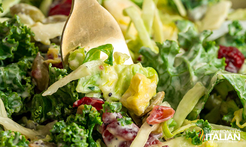 closeup of costco sweet kale salad