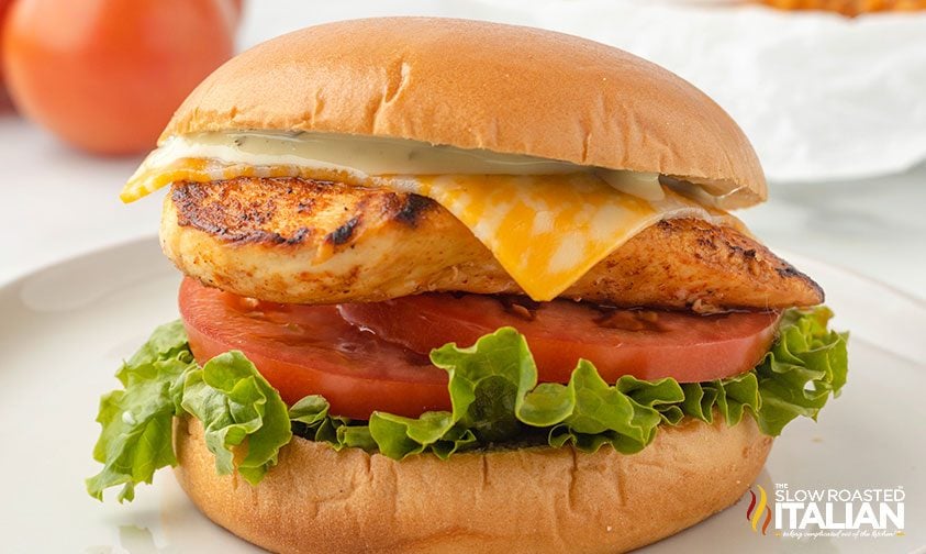 lettuce, tomato, grilled chicken, Colby Jack, and cilantro lime dressing on a brioche bun