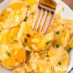 closeup of a plate of cheesy potatoes au gratin