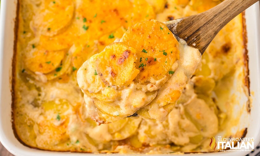 serving cheesy potatoes au gratin with a wooden spoon