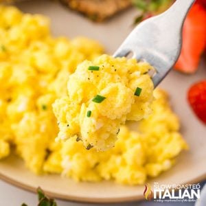 closeup of creamy cottage cheese eggs on a fork