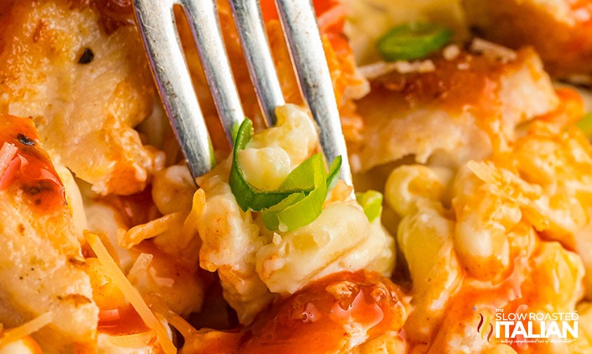 close up: spearing buffalo chicken mac and cheese onto a fork