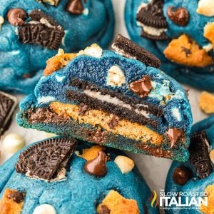 closeup of stuffed cookie monster cookies