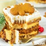 closeup of a slice of layered gingerbread cake