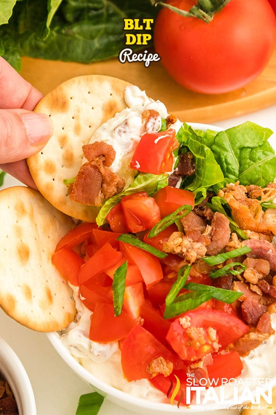 titled image: BLT Dip Recipe