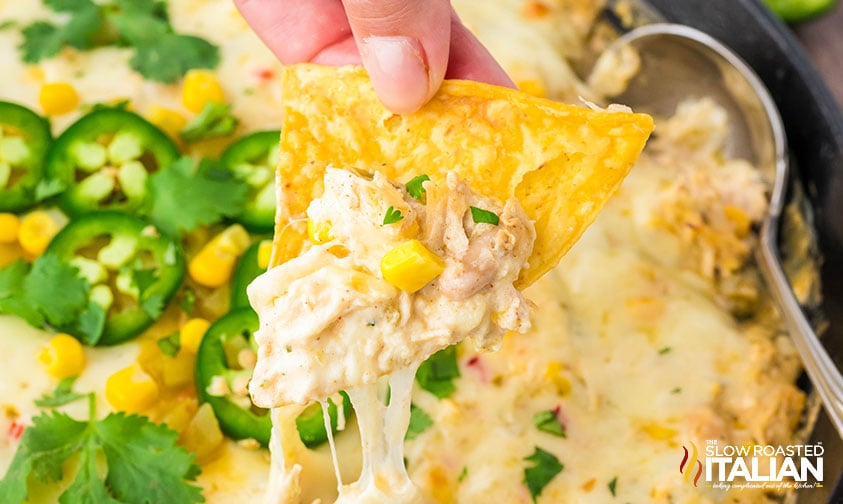 closeup of chicken enchilada dip on a tortilla chip