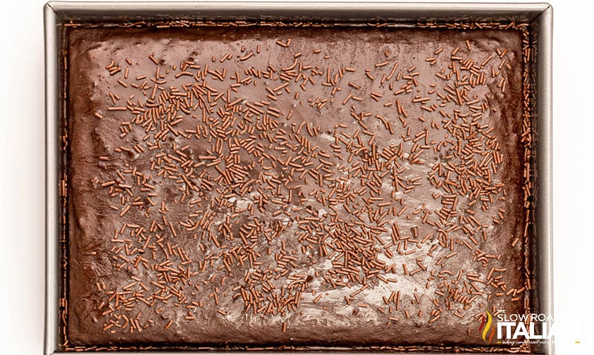 frosted chocolate dr pepper cake covered with chocolate sprinkles