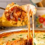 closeup of cream cheese salsa dip