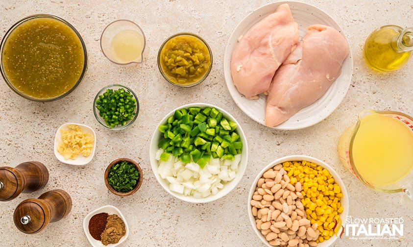 ingredients for salsa verde chicken soup recipe