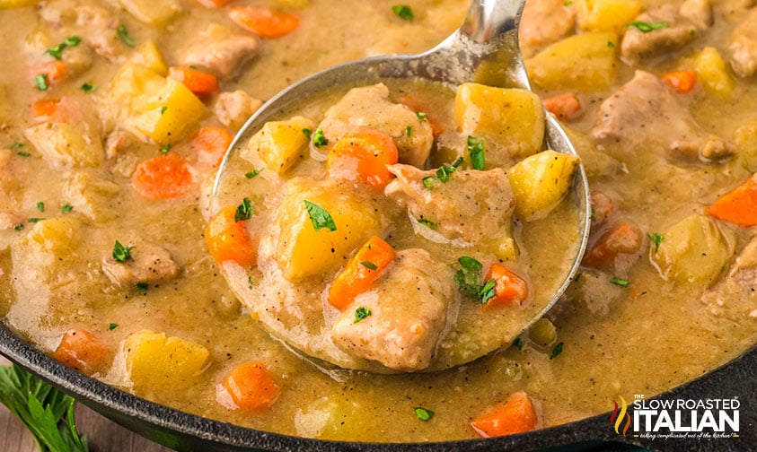 pork stew in a ladle