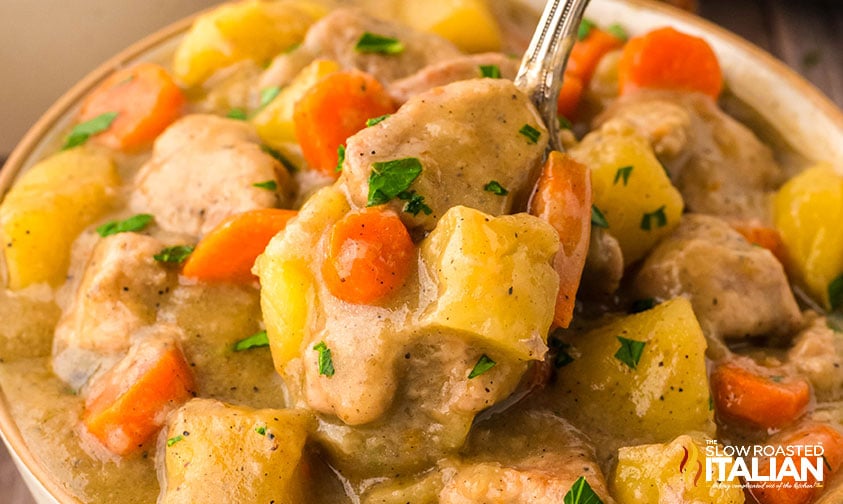 closeup of pork stew on a spoon