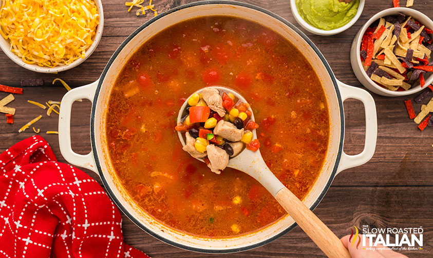 spoonful of chicken tortilla soup