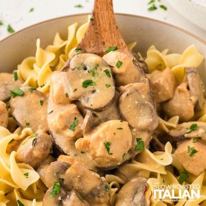 closeup of chicken stroganoff