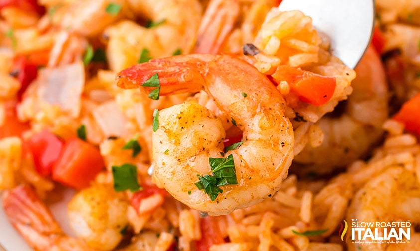 closeup of cajun shrimp and rice