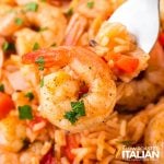 closeup of cajun shrimp and rice