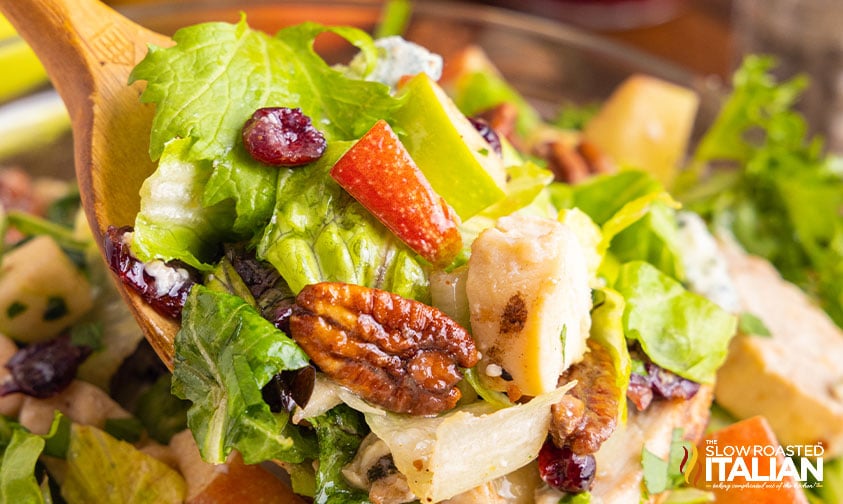 apple pecan chicken salad with cranberries, nuts, and mixed greens